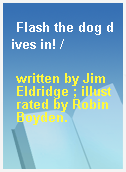 Flash the dog dives in! /
