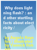 Why does lightning flash? : and other startling facts about electricity /
